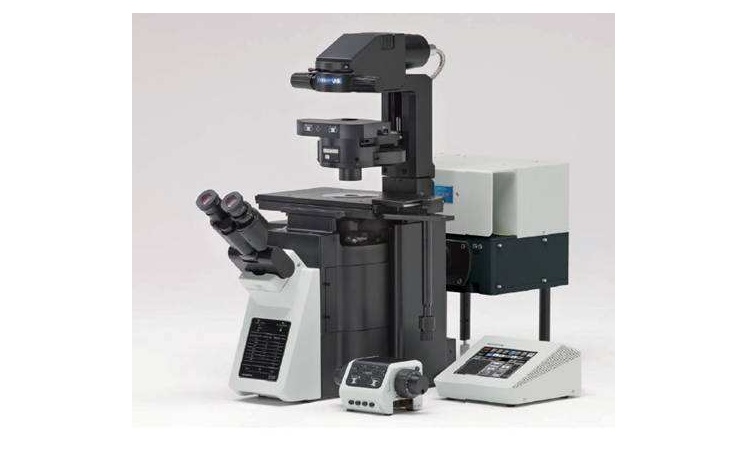 中国农业大学激光共聚焦显微镜等仪器设备采购项目中标公告